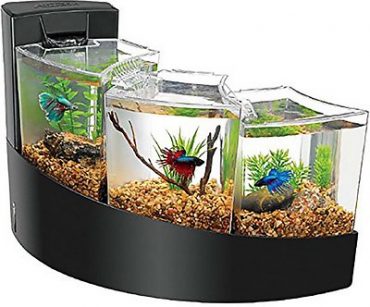 Aquarium with Chewy Discount Codes