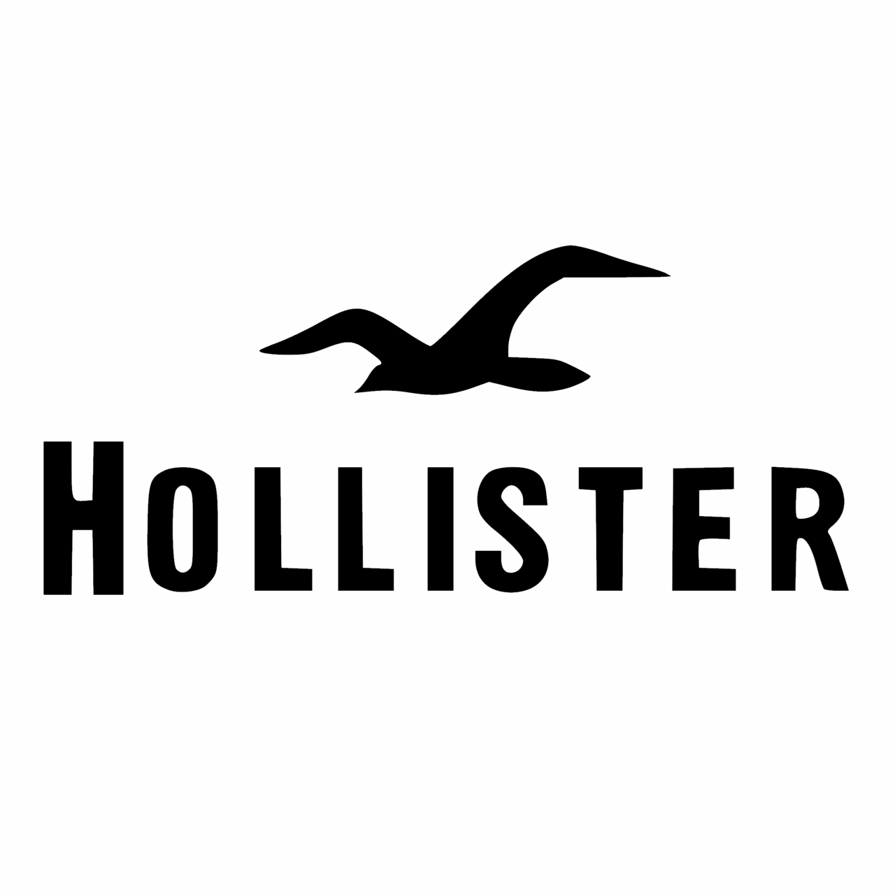 hollister logo