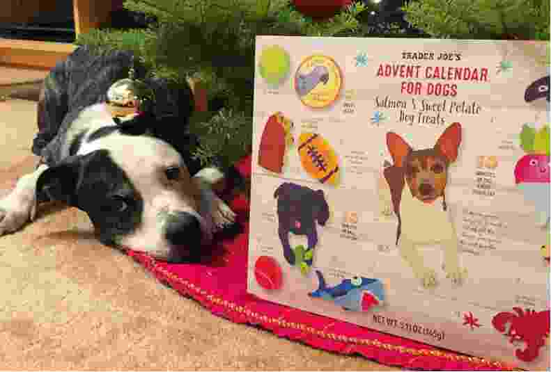 Trader Joe's Pet Advent Calendars